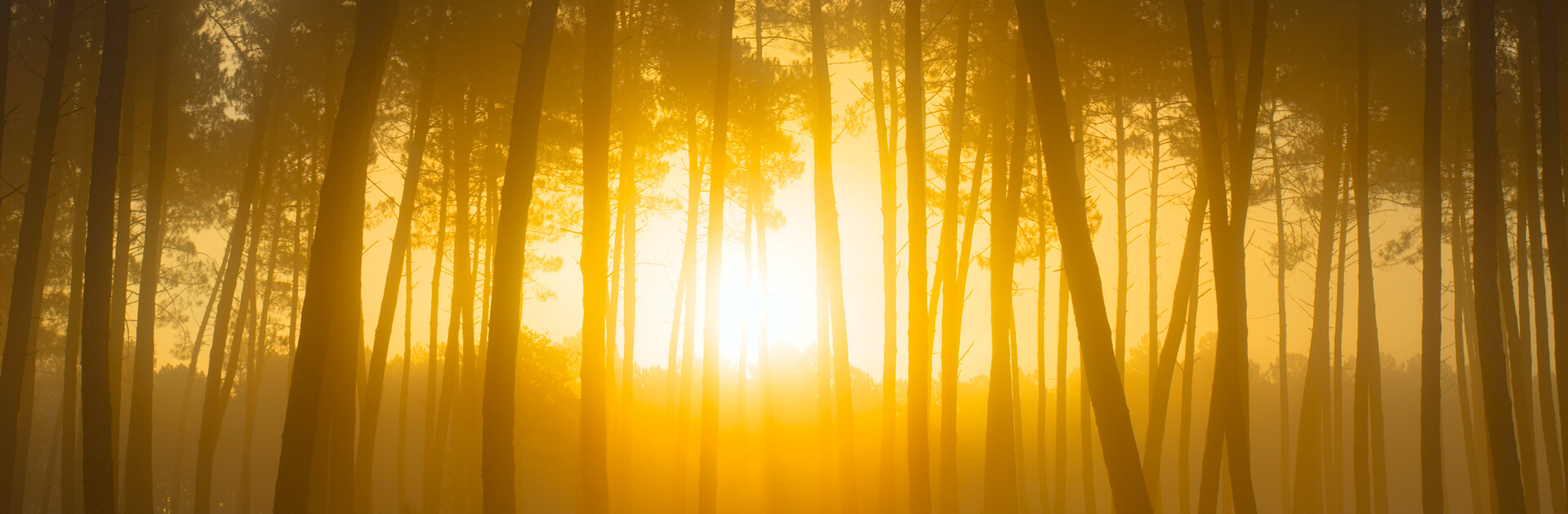 Coucher de soleil La Pignada